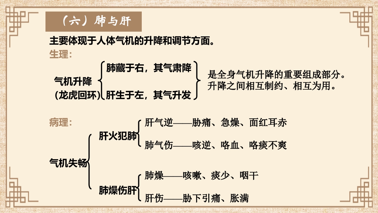 脏腑之间的关系ppt课件14