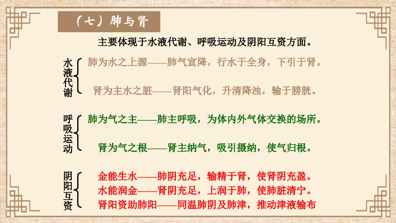 脏腑之间的关系ppt课件15