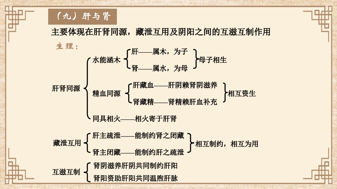 脏腑之间的关系ppt课件19