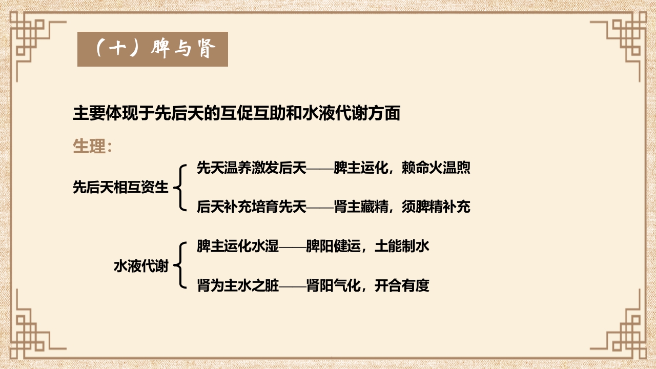 脏腑之间的关系ppt课件21