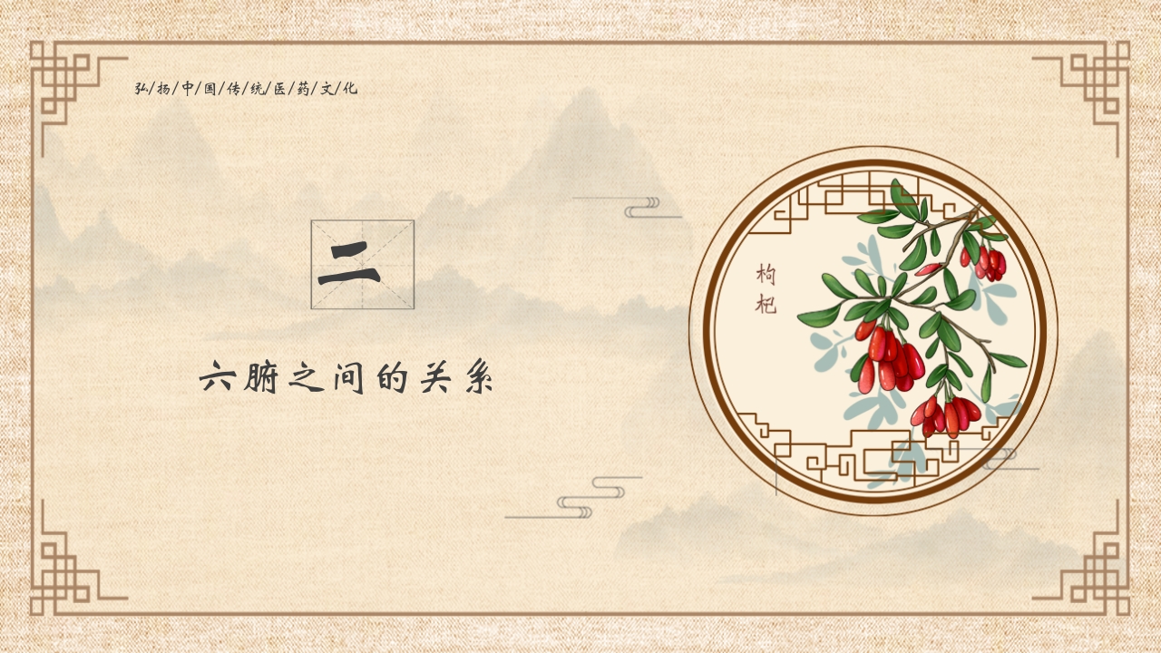 脏腑之间的关系ppt课件23