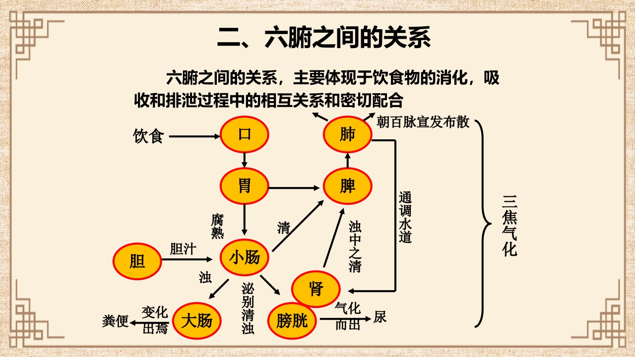 脏腑之间的关系ppt课件24