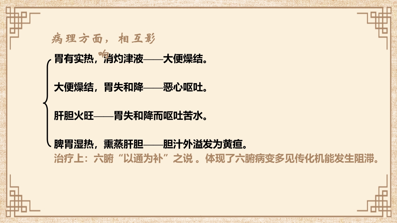 脏腑之间的关系ppt课件25