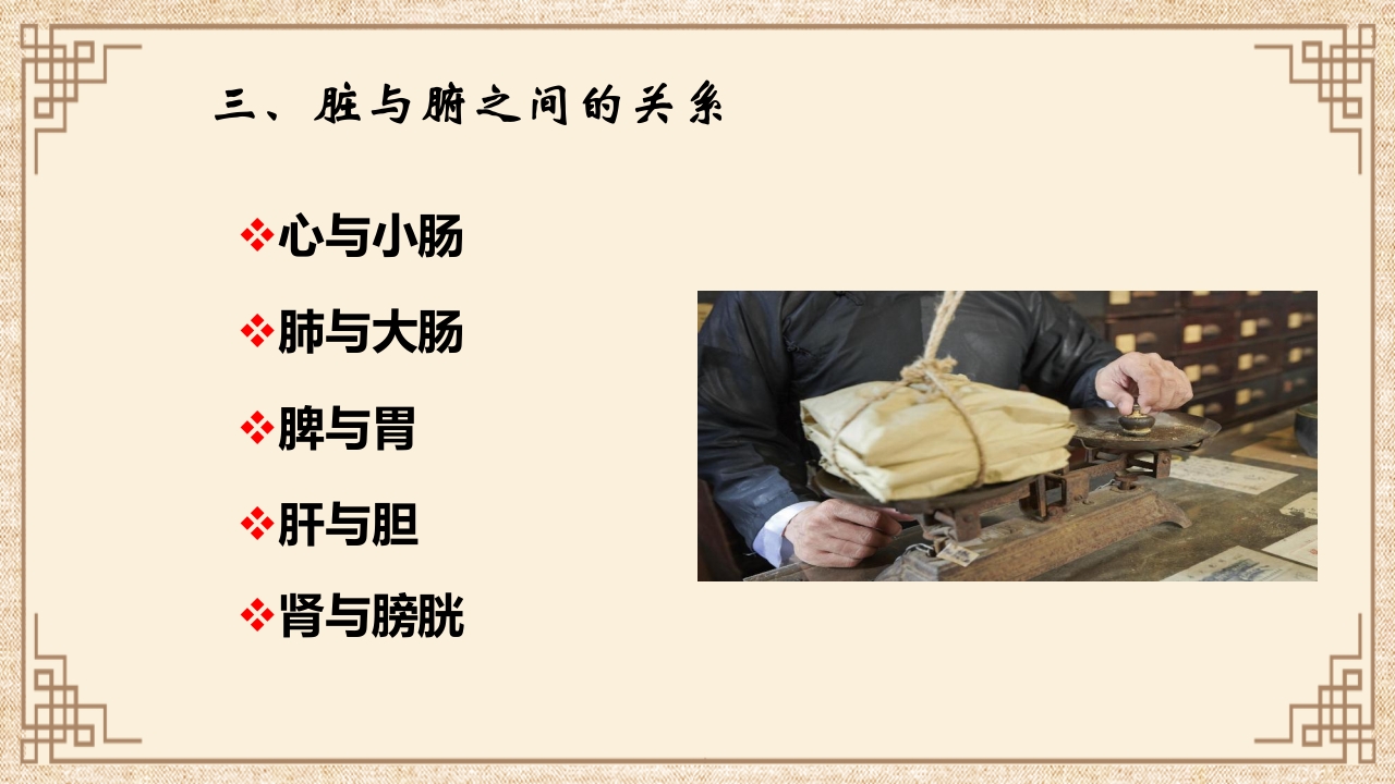 脏腑之间的关系ppt课件27