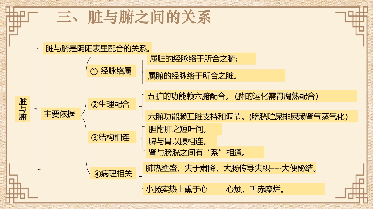 脏腑之间的关系ppt课件28