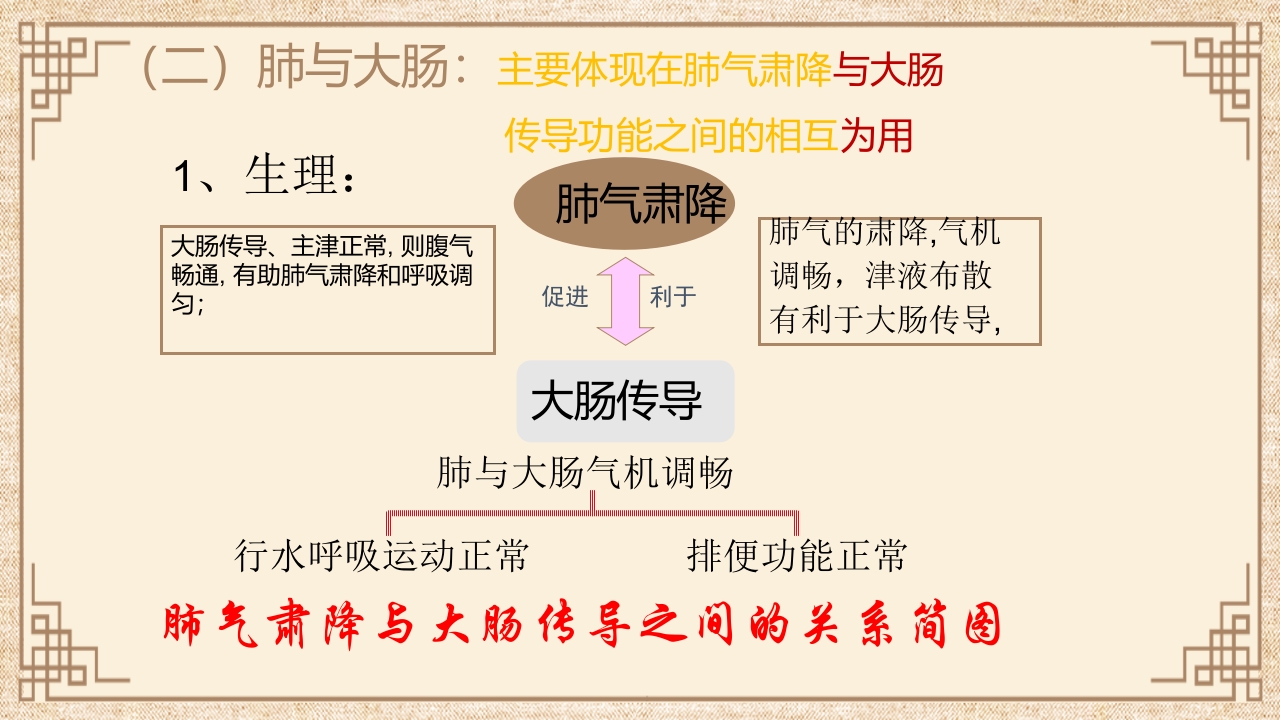 脏腑之间的关系ppt课件30