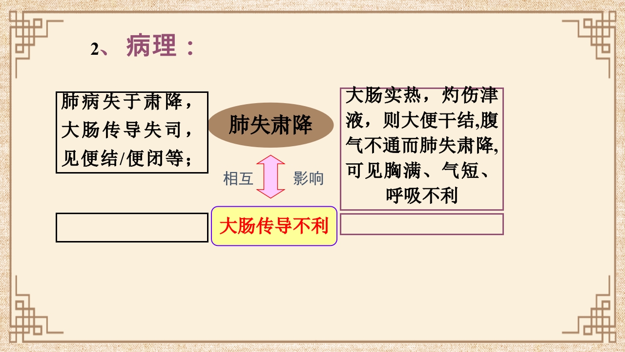 脏腑之间的关系ppt课件31