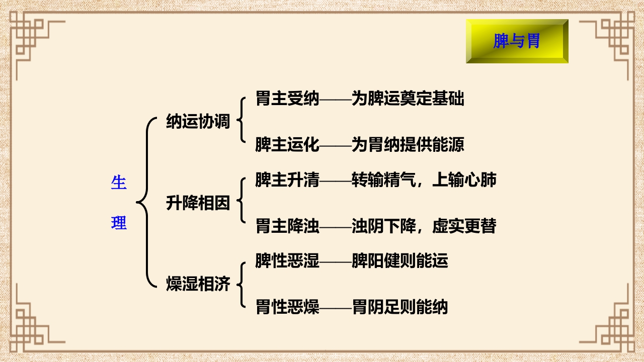 脏腑之间的关系ppt课件33