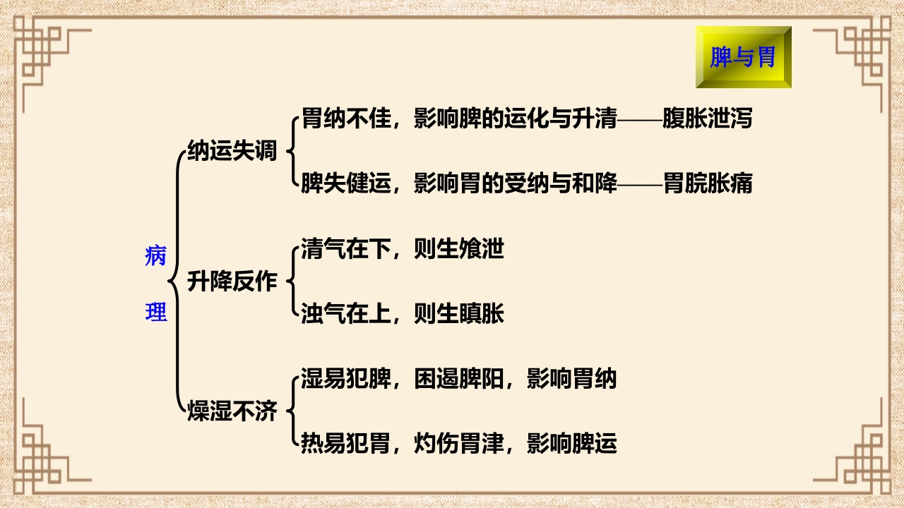 脏腑之间的关系ppt课件34