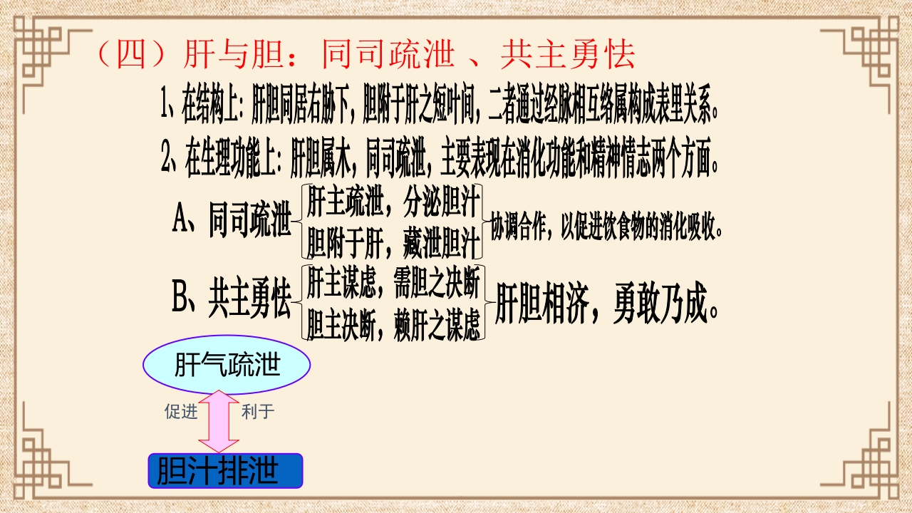 脏腑之间的关系ppt课件35