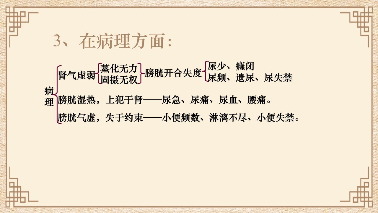 脏腑之间的关系ppt课件38