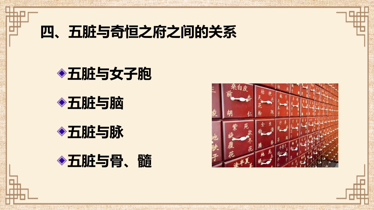 脏腑之间的关系ppt课件40
