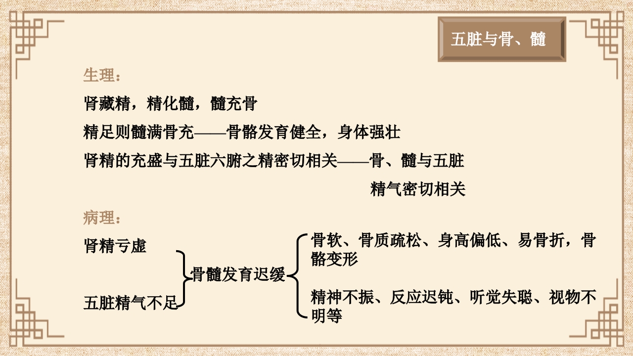 脏腑之间的关系ppt课件47