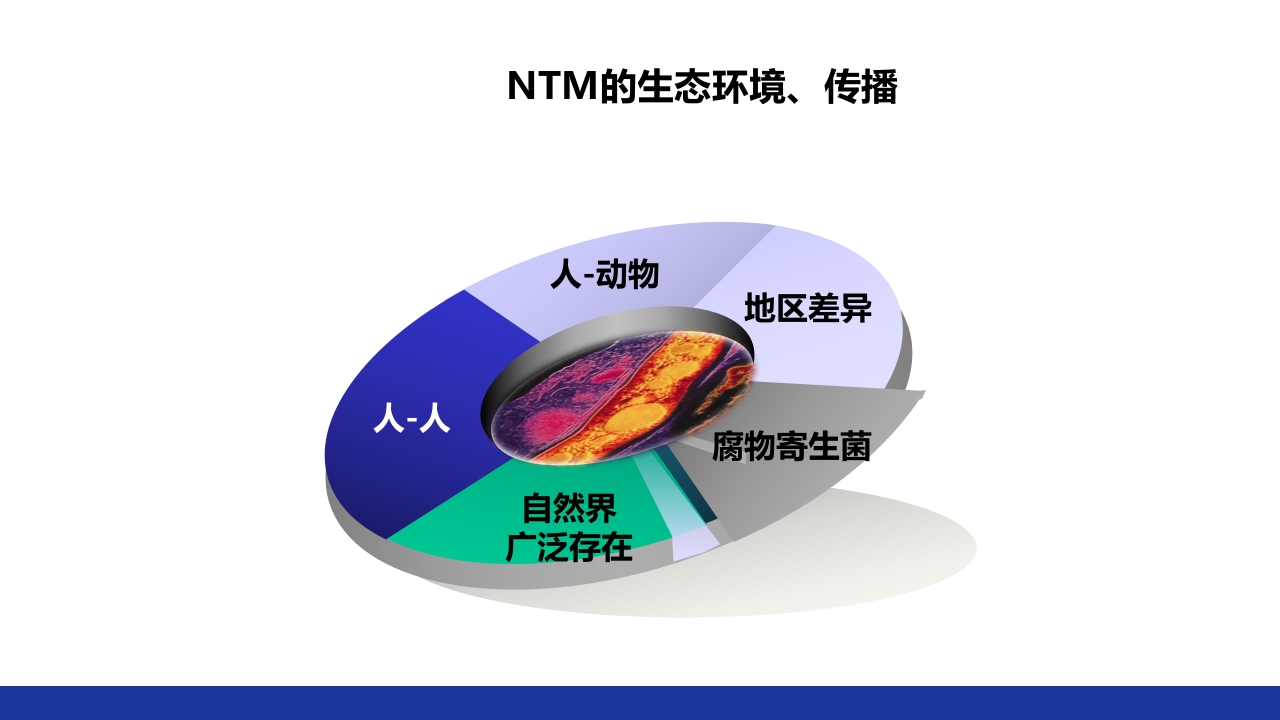 非结核分枝杆菌感染PPT课件15