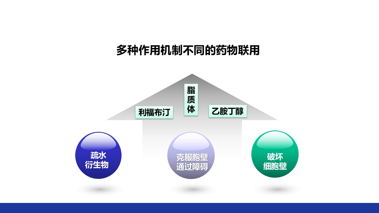 非结核分枝杆菌感染PPT课件54