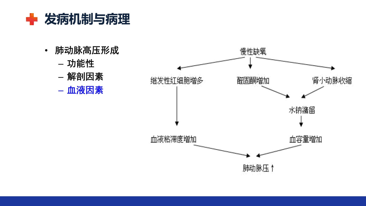 慢性肺源性心脏病PPT课件11