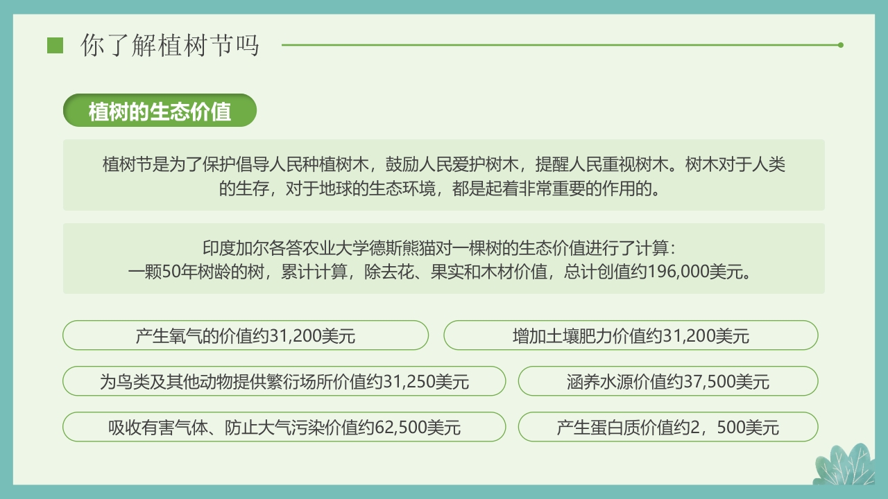 “多一棵树多一片叶多一份希望”小学植树节主题班会PPT课件12