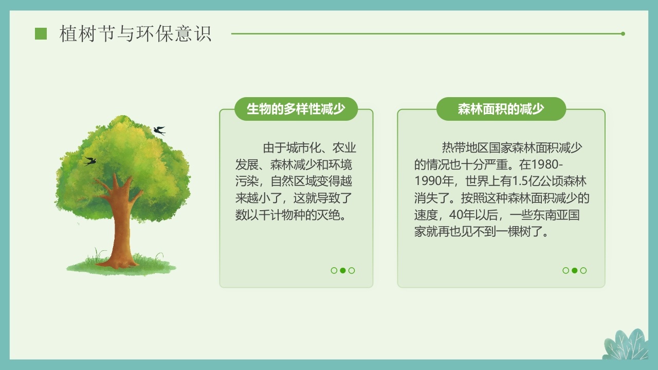 “多一棵树多一片叶多一份希望”小学植树节主题班会PPT课件21