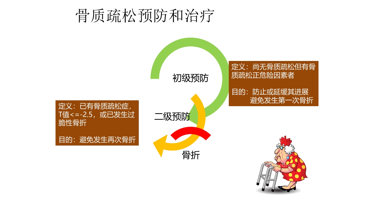 骨质疏松的诊断与治疗ppt课件42