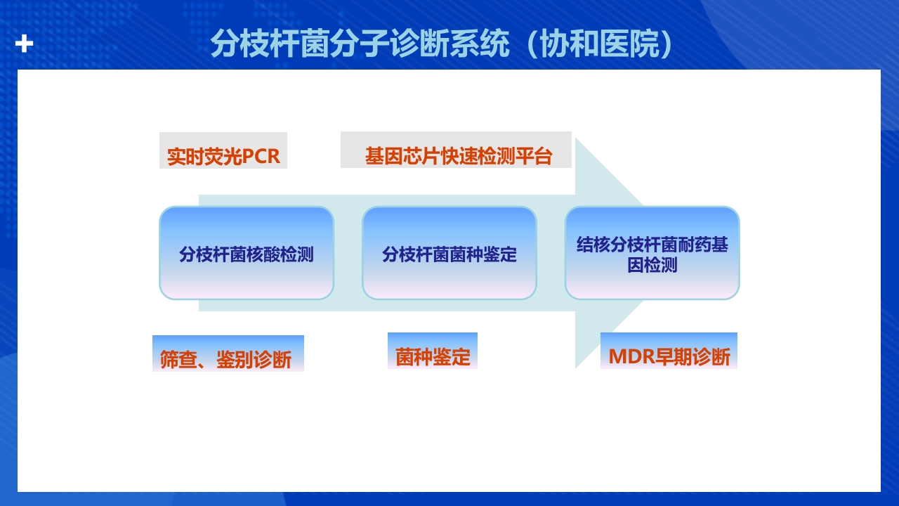 结核分枝杆菌实验室检测方法ppt课件21