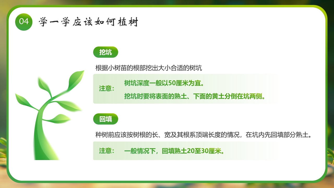 “春风十里绿意萌动”幼儿园植树节介绍PPT课件15