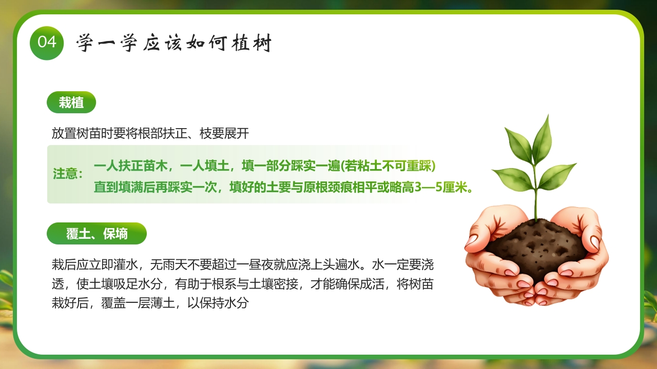 “春风十里绿意萌动”幼儿园植树节介绍PPT课件16