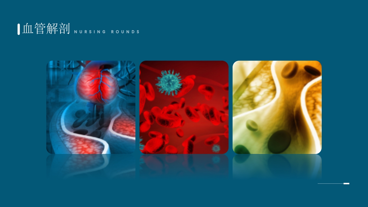 下肢深静脉血栓护理查房PPT课件11