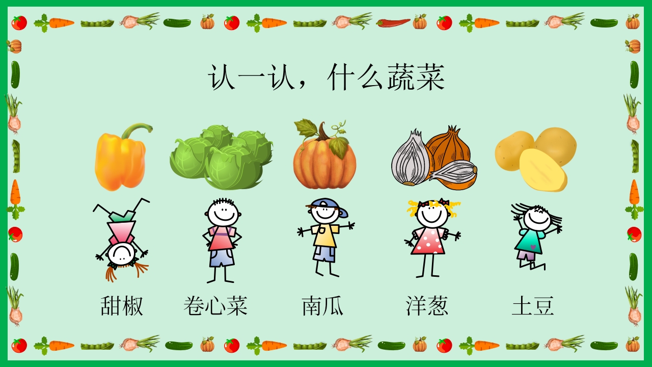 《我的蔬菜朋友》幼儿园中大班公开课PPT课件+word教案12