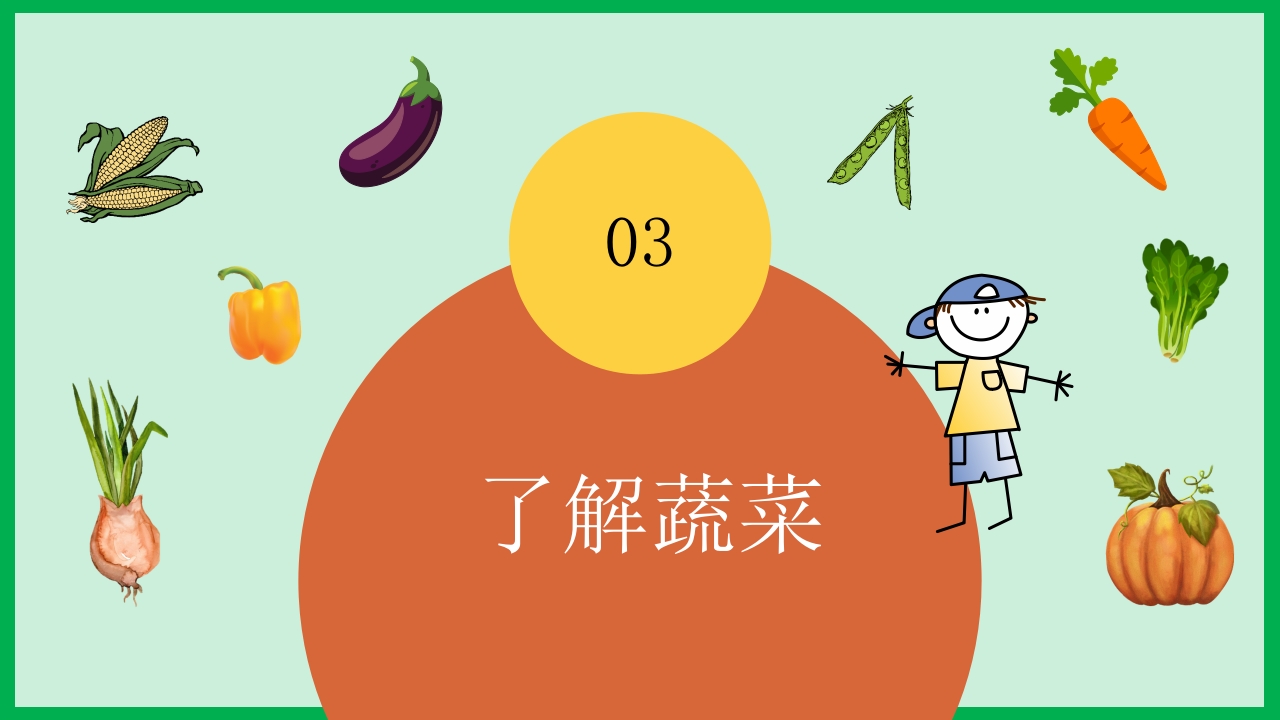 《我的蔬菜朋友》幼儿园中大班公开课PPT课件+word教案13