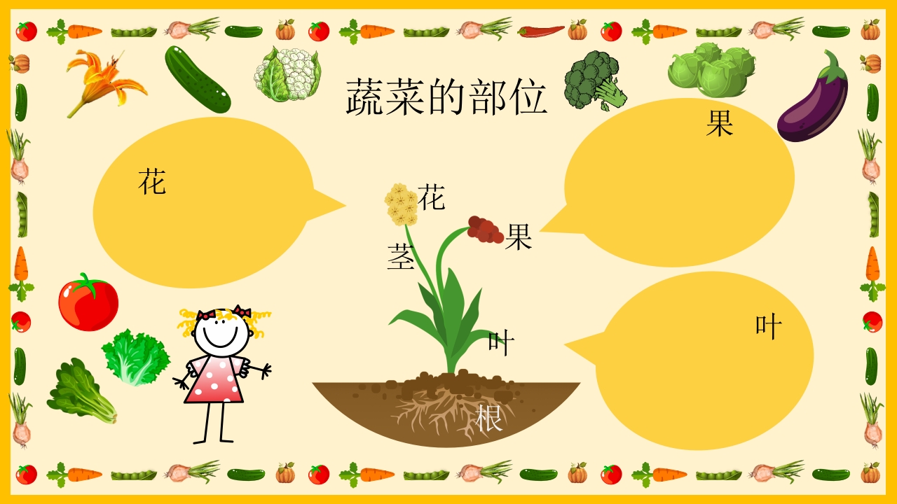 《我和蔬菜做朋友》幼儿园中大班公开课互动版PPT课件+word教案14