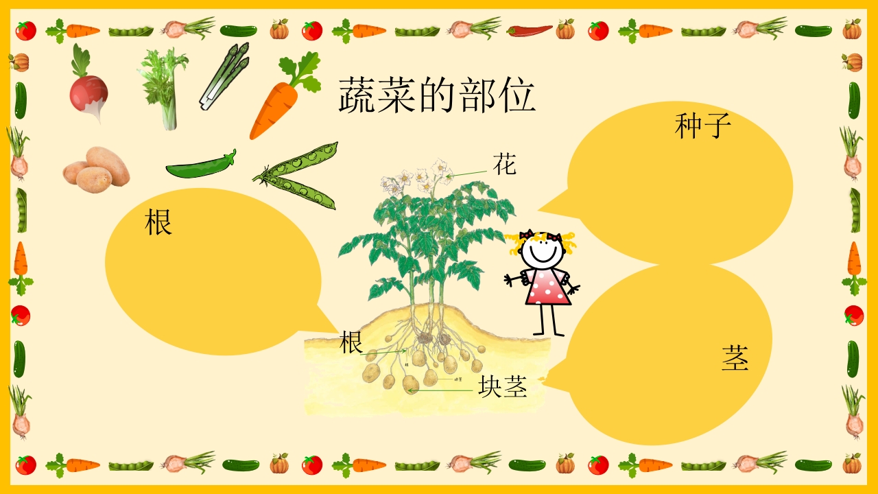 《我和蔬菜做朋友》幼儿园中大班公开课互动版PPT课件+word教案15