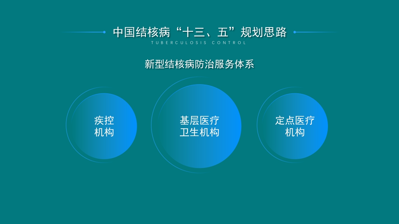 肺结核控制现状及患者健康管理服务规范PPT课件11