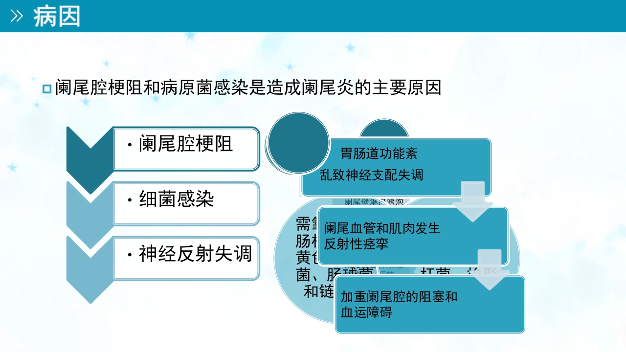 小儿急性阑尾炎的护理ppt课件3