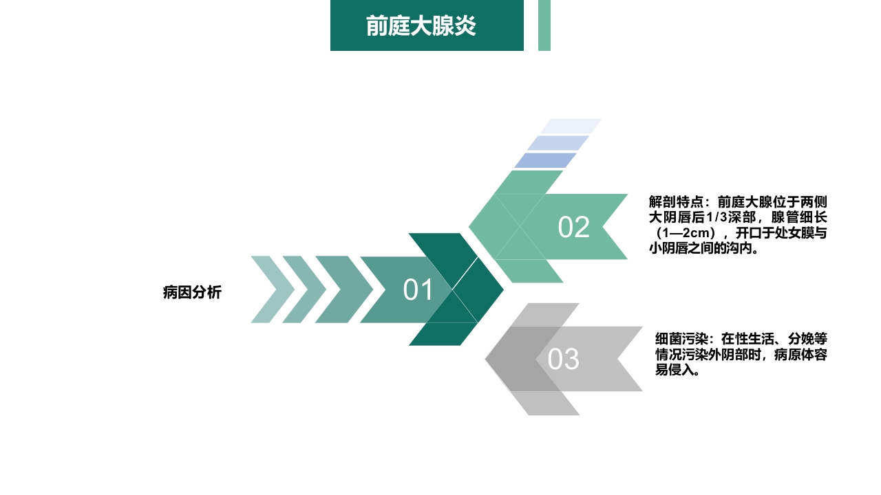 妇产科护理学报告·生殖系统炎症PPT课件5