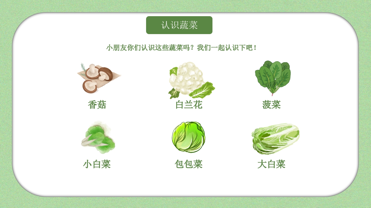 《我和蔬菜做朋友》幼儿园科学教育科普活动PPT课件5