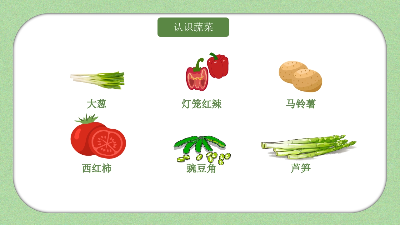 《我和蔬菜做朋友》幼儿园科学教育科普活动PPT课件6