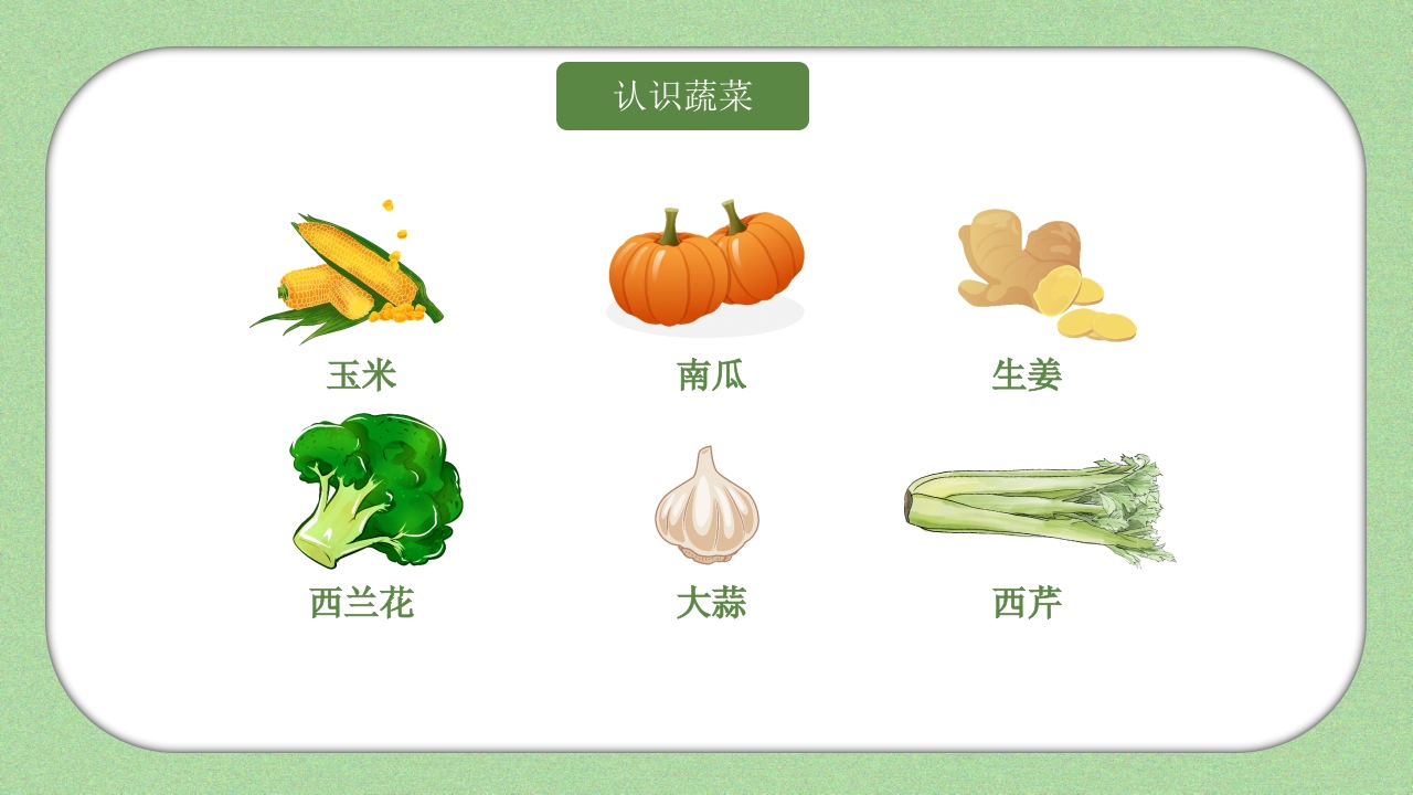 《我和蔬菜做朋友》幼儿园科学教育科普活动PPT课件7