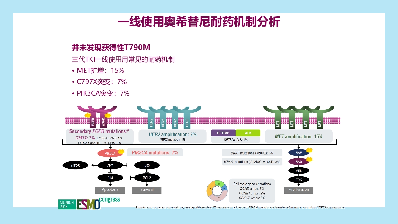 精准之路：EGFR突变NSCLC患者靶向治疗全程管理PPT课件35