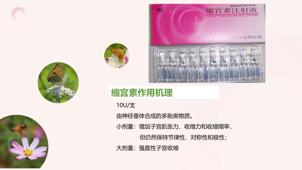 妇科常用专科用药PPT课件17