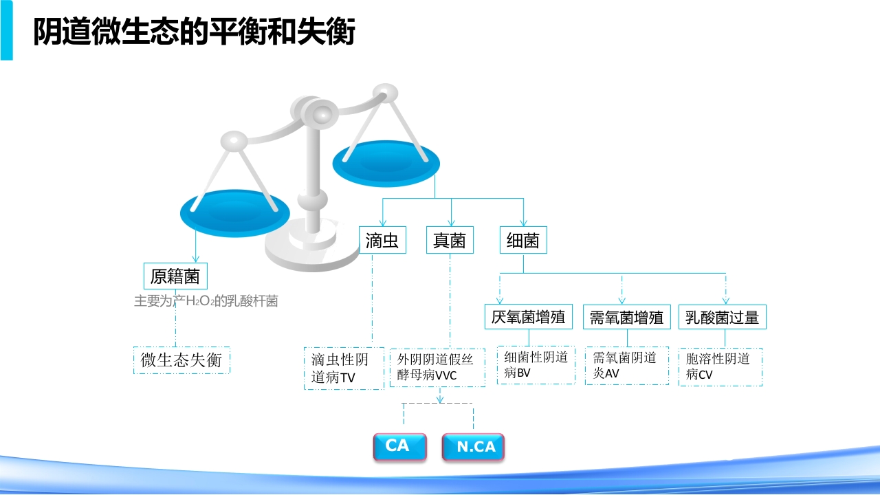 女性下生殖道感染疾病的诊断方法PPT课件13
