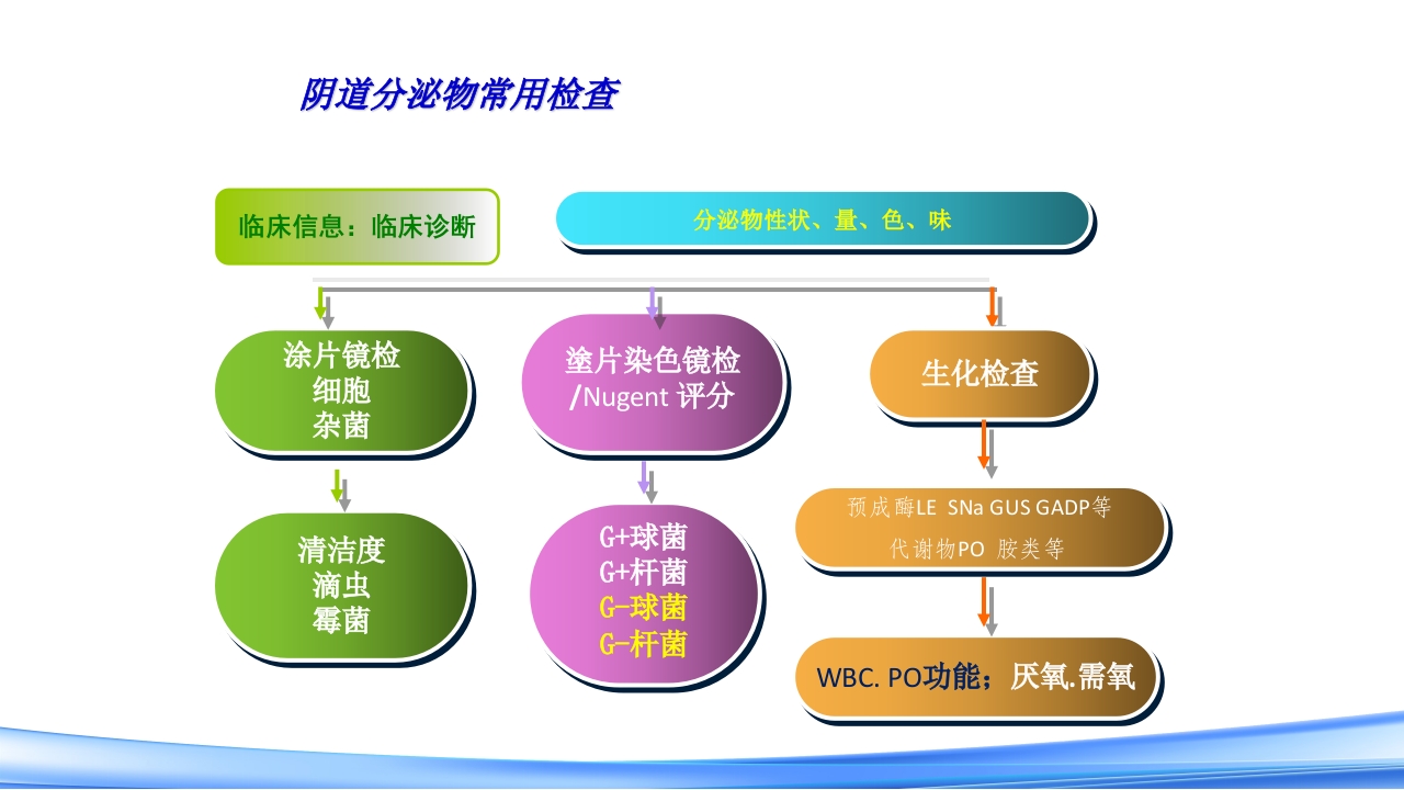 女性下生殖道感染疾病的诊断方法PPT课件35