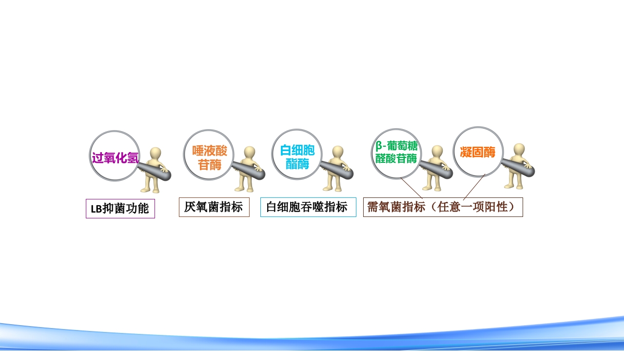 女性下生殖道感染疾病的诊断方法PPT课件42