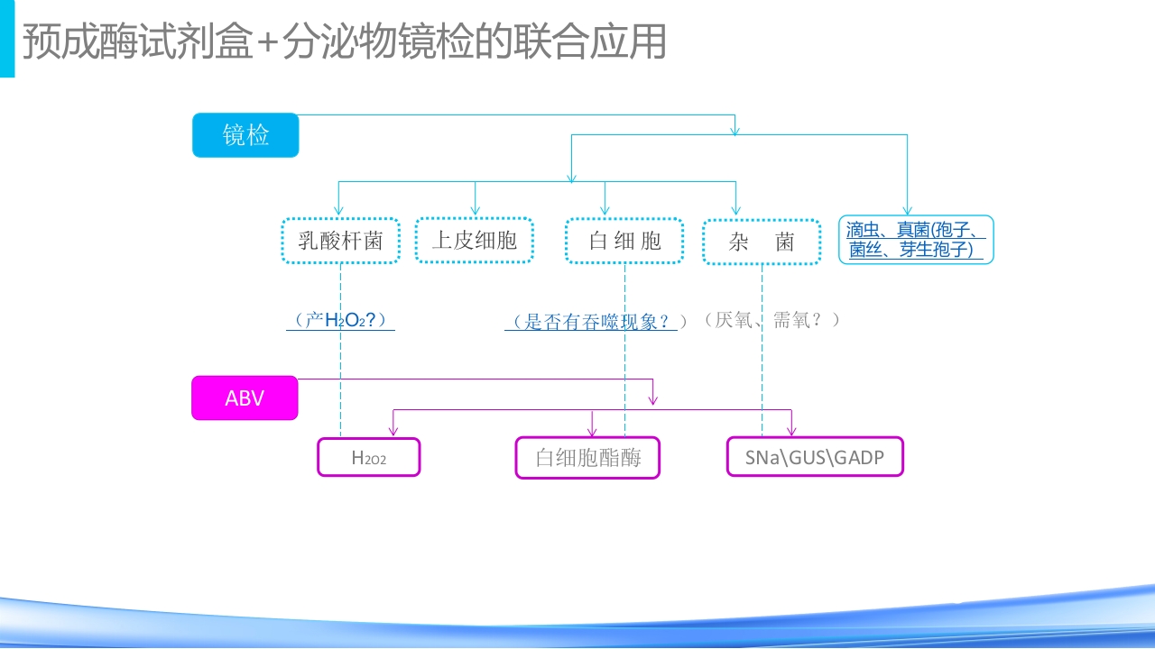 女性下生殖道感染疾病的诊断方法PPT课件48