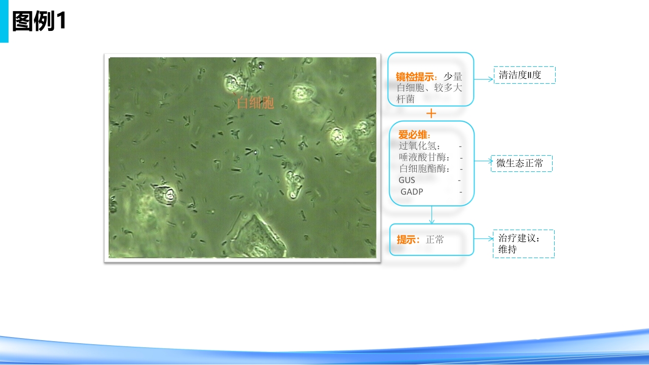 女性下生殖道感染疾病的诊断方法PPT课件50