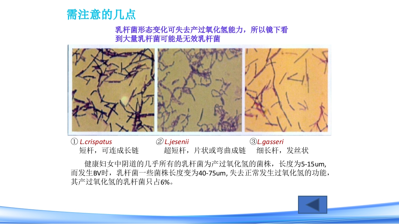 女性下生殖道感染疾病的诊断方法PPT课件61