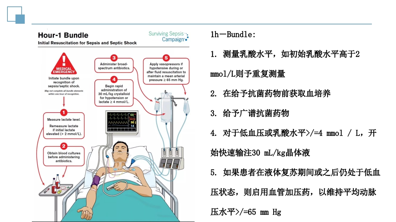 脓毒症指南PPT课件20