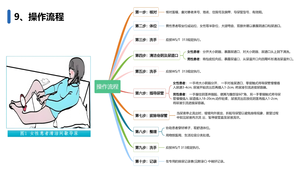 成人清洁间歇导尿护理(2024护理团体标准)PPT课件13