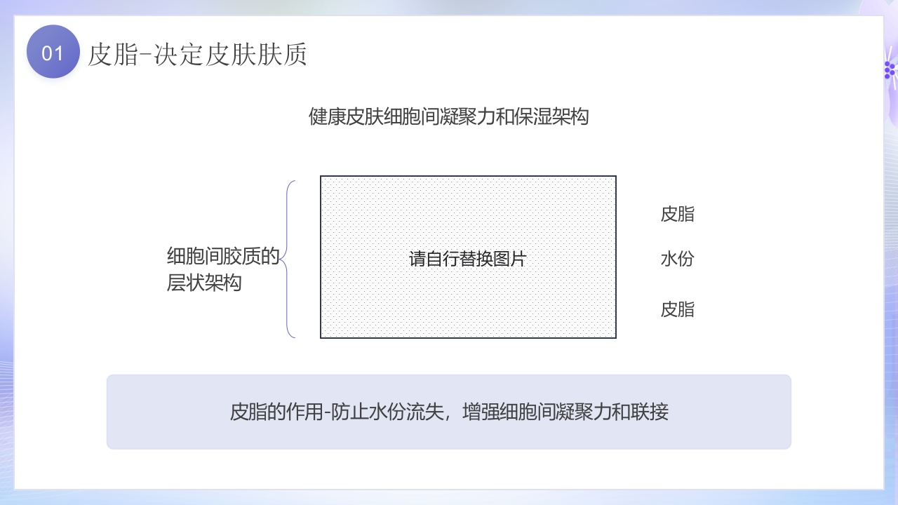 美容护肤基础知识培训PPT课件11