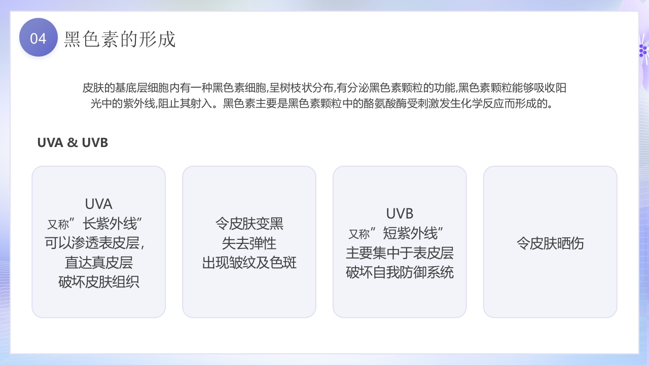 美容护肤基础知识培训PPT课件33