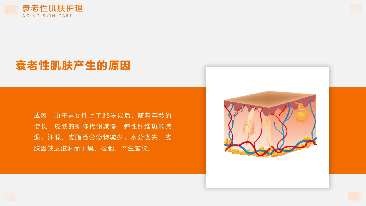 问题性皮肤护理PPT课件22